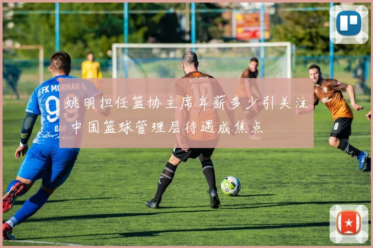 姚明担任篮协主席年薪多少引关注 中国篮球管理层待遇成焦点