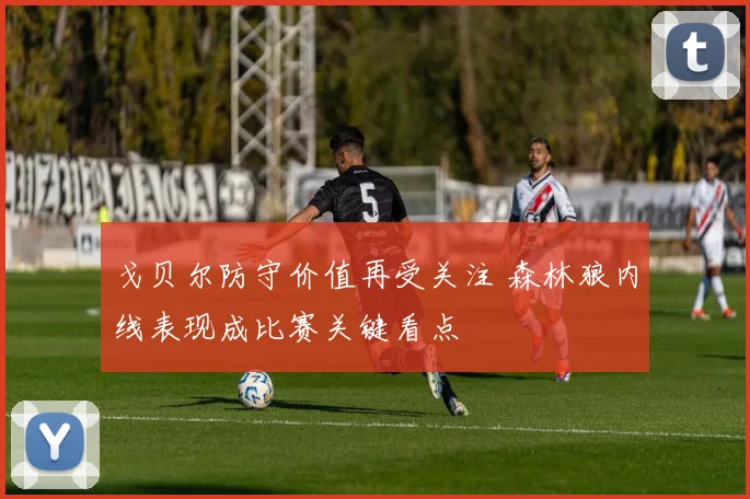 戈贝尔防守价值再受关注 森林狼内线表现成比赛关键看点