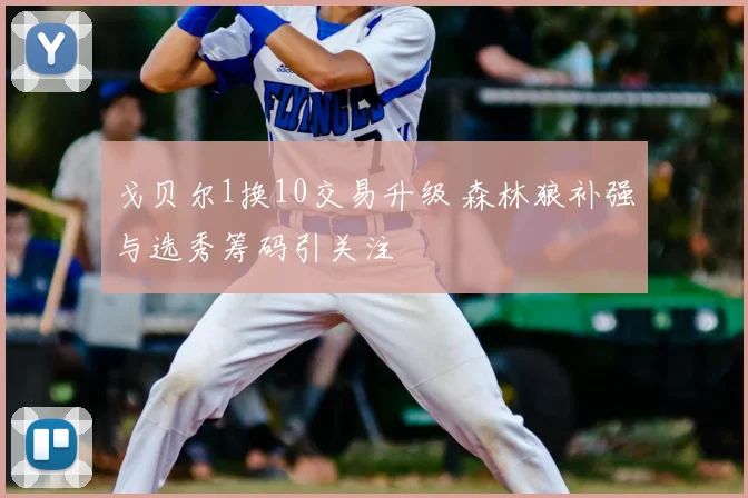 戈贝尔1换10交易升级 森林狼补强与选秀筹码引关注