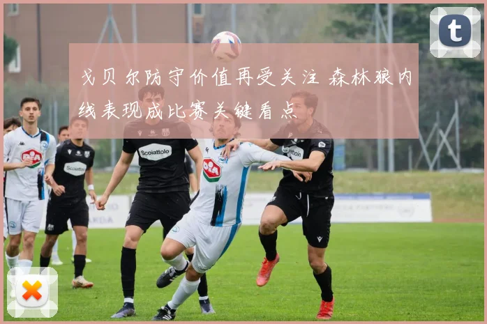 戈贝尔防守价值再受关注 森林狼内线表现成比赛关键看点
